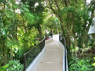 Our entrance to the buiding is suroundet by a green garden.