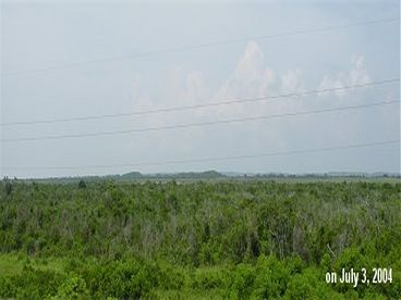 Back View from Sea Song II.  No one can ever build behind us because of the National Park Preserve.  Enjoy the Private Park-Like Setting.