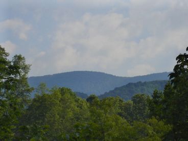 Take in the great view