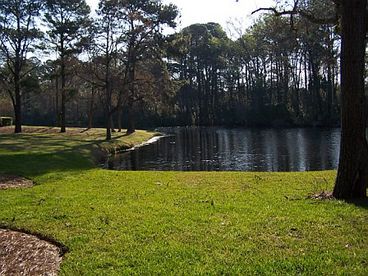 View from deck