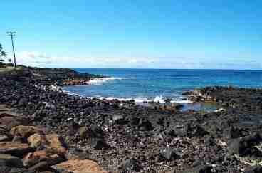 Turtle Cove