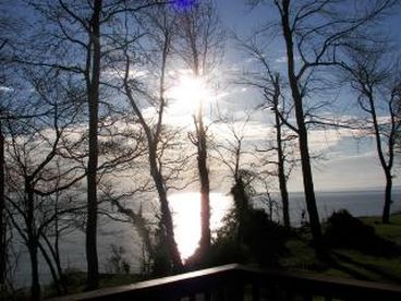 View from Deck