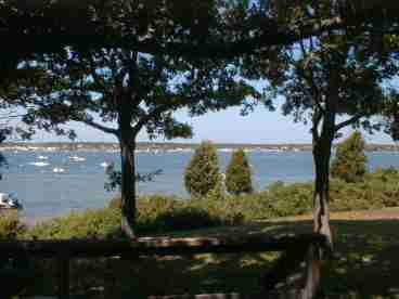 view from deck/lawn