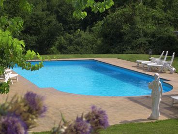 Private Pool with terracotta terrace, vines, lawns