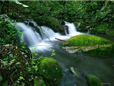 Waterfalls at Ballena