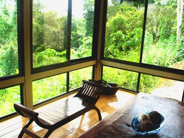 Living room windows