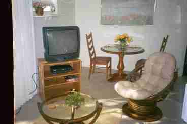This shows partial of the living room which comes with TV VCR, small coffe table and a small couch and in the for ground you can see part of the dinning area.