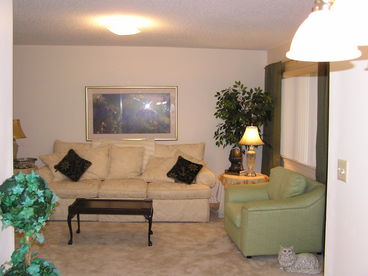 pull out sofa in den