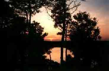 Sunset view of pond