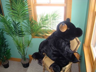 Photo 8