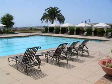 Resort Style Olympic Pool with Private Cabanas