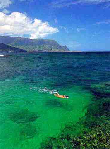 Snorkeling at Resort Beach
