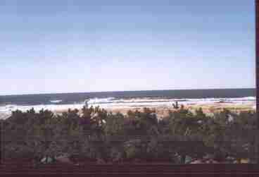 Ocean view from the condo - the condo faces directly west.