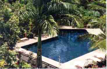 Garden and Pool