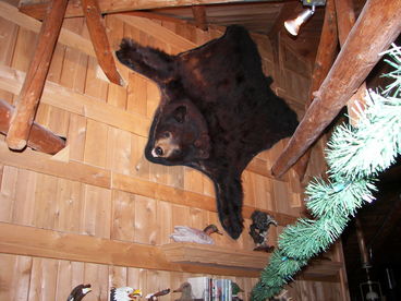 AndersInn - Baker Lake Cabin