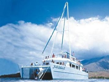 Snorkel Tours