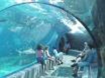 Maui Ocean Center