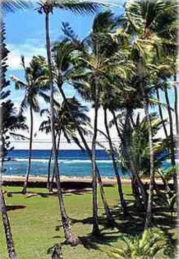 View from Lanai