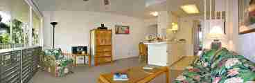 Living Room-Kitchen