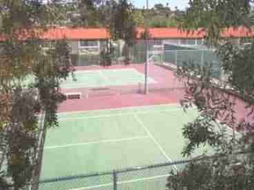 View of Tennis