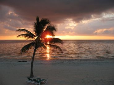 Morning Beach at Windward Cove