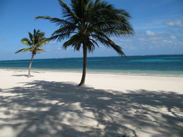 Daytime Beach