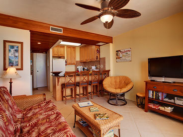 Upgraded Living Area