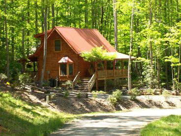 View of Cabin From the Quiet Shaded Lane