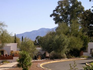 View from Patio