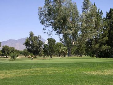 Nearby Golf Coures