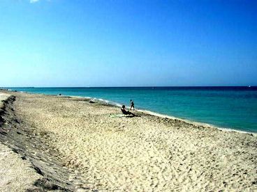 Relax & Enjoy the Pristine Views of our Golden, Sandy Beachfront. Search for Fossilized Shark Teeth in the Sand. Many locals and visitors make this a favorite past time as Venice is known as the \