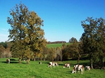 Gte des Chaises Basses - Country of the Vezere Valley