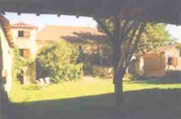 seen from shady barn