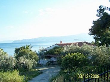 Views of the Aegean and our home sorrounded by Pine tees olive trees orange and lemon trees