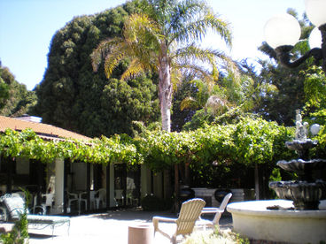 The Villa features an amazing BBQ and entertaining area with water falls and more.