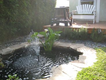 Koi pond