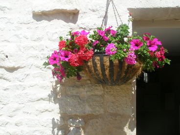 Jackson's Cottage & private Swimming Pool for 9 people. Poitou Charentes.