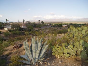 Arroyo