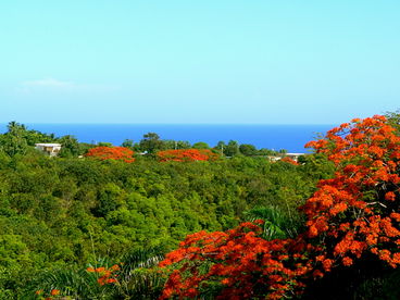 Nature, Sunset and Ocean Views