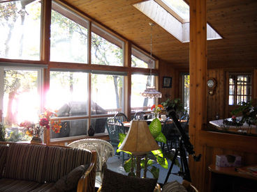 The Wandering Pines Lakeside Chalet