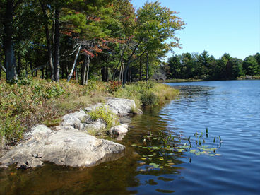 The Wandering Pines Lakeside Chalet