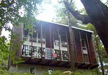 Back of Home