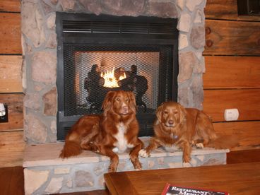 Pet Friendly