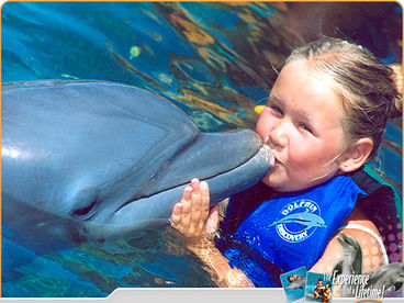 Here is your chance to swim with the dolphins at the marina only 5 minutes from the condo