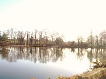 view of lake