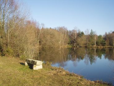 view of lake