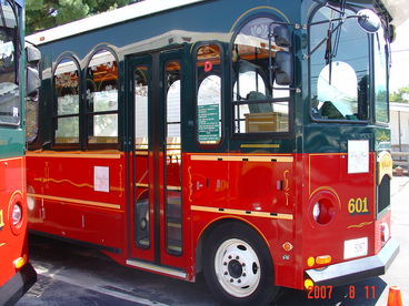 Summer Village Trolly