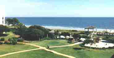 View from Unit
