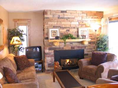 Living Area with Sleeper Sofa and Gas Fireplace.