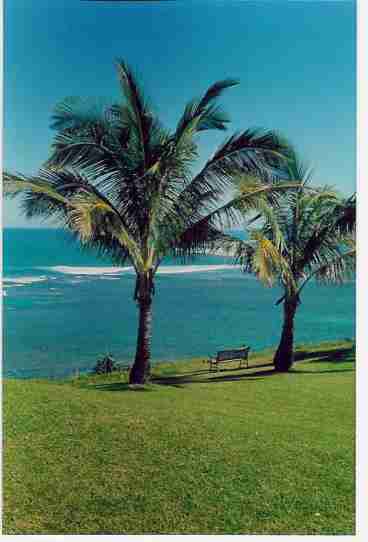 view from lanai
